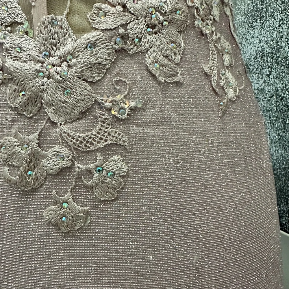 2x$70- Elegant Blush Lace Appliqué Evening Gown - Picture 4 of 6